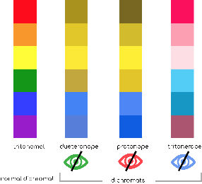 Kaavio, jossa esitetään, miten värisokeat näkevät värit